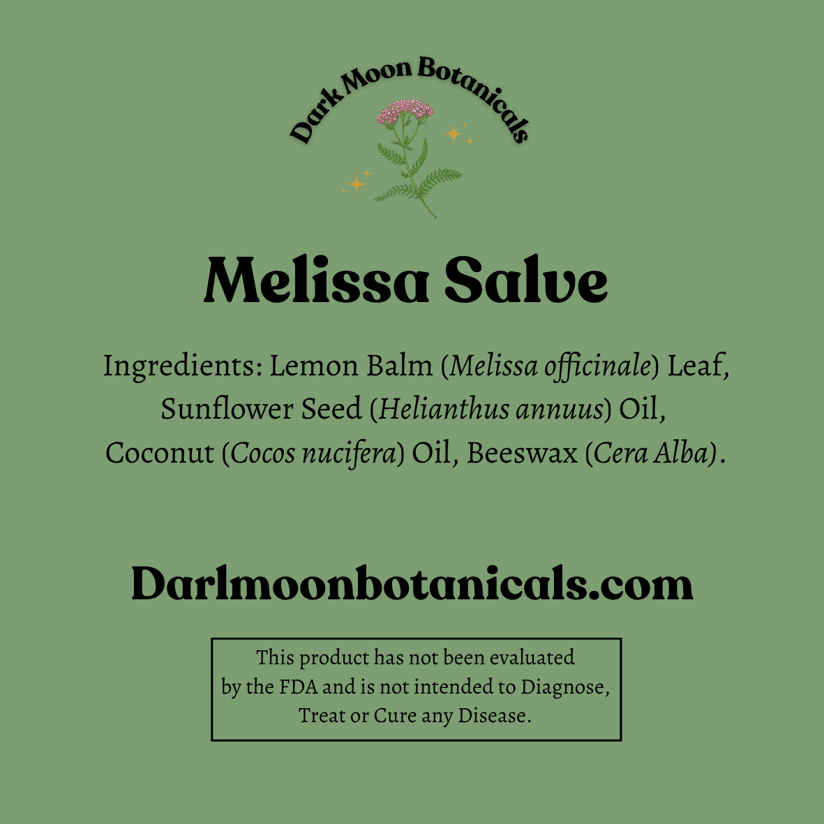 Melissa Salve